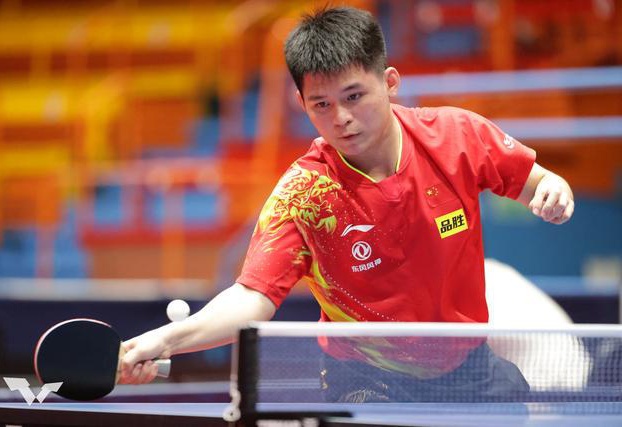 增强了他们 增强了他们