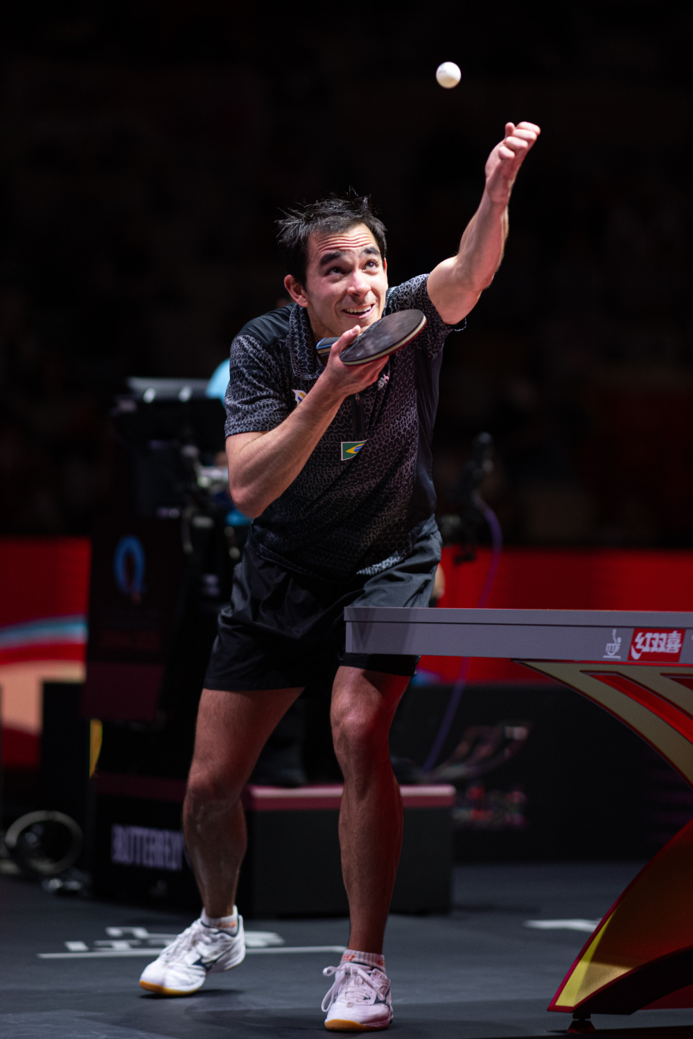 科学的阶段 科学的阶段