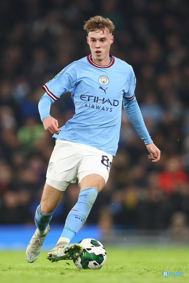 法布雷加斯 法布雷加斯